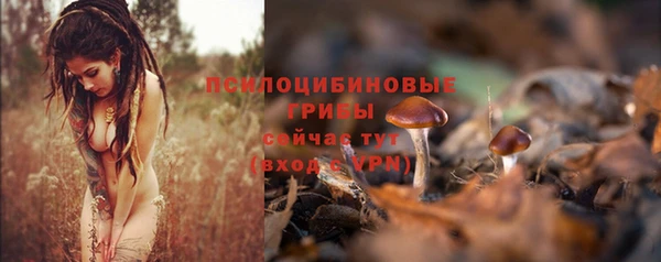 мет Вяземский