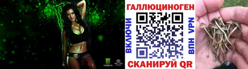 Псилоцибиновые грибы мицелий  Купить  Инсар 